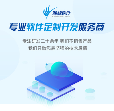 网站定制开发与软件服务 驱动企业数字化转型的双引擎